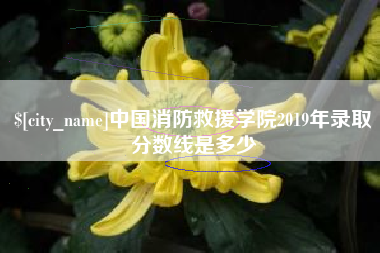 正定中国消防救援学院2019年录取分数线是多少
