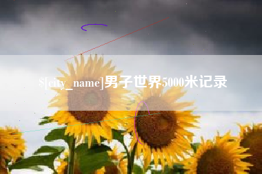 正定男子世界5000米记录
