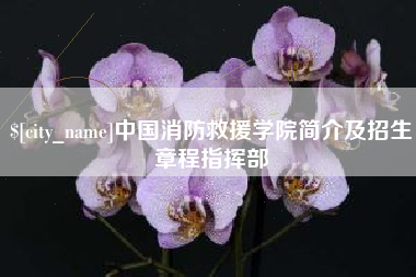 正定中国消防救援学院简介及招生章程指挥部
