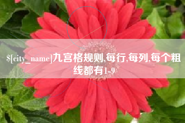 正定九宫格规则,每行,每列,每个粗线都有1-9