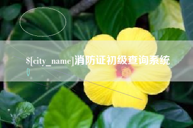 正定消防证初级查询系统