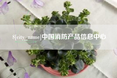 正定中国消防产品信息中心