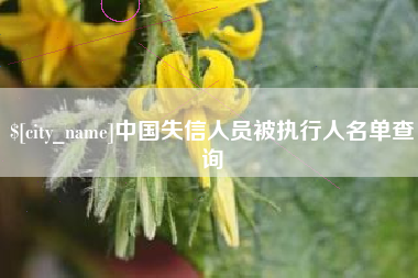正定中国失信人员被执行人名单查询
