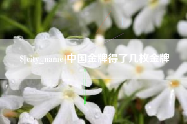 正定中国金牌得了几枚金牌