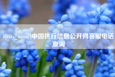 正定中国执行信息公开网客服电话查询