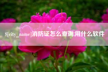 正定消防证怎么查询,用什么软件
