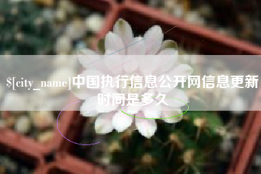正定中国执行信息公开网信息更新时间是多久