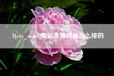 正定奥运金牌榜是怎么排的