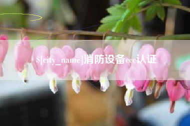 正定消防设备ccc认证