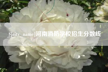 正定河南消防学校招生分数线