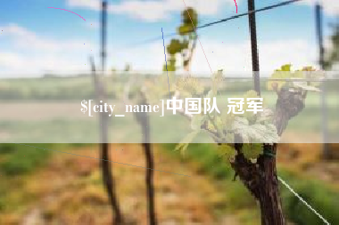 正定中国队 冠军