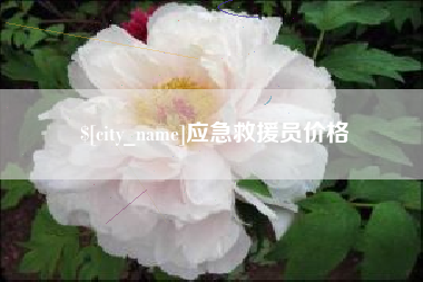 正定应急救援员价格