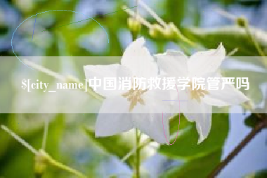 正定中国消防救援学院管严吗