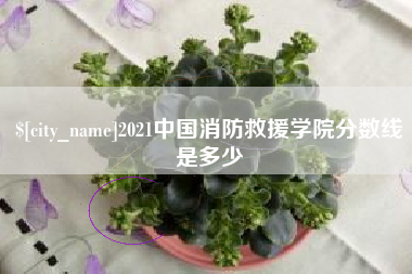 正定2021中国消防救援学院分数线是多少