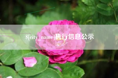 正定执行信息公示