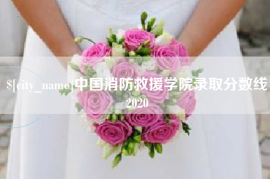 正定中国消防救援学院录取分数线2020