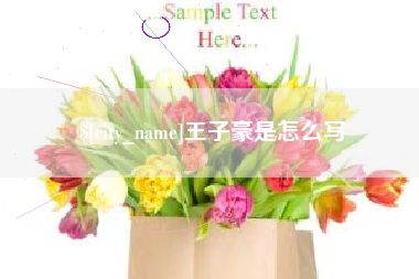 正定王子豪是怎么写