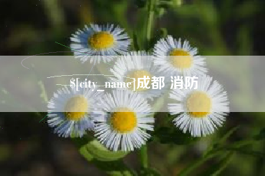 正定成都 消防