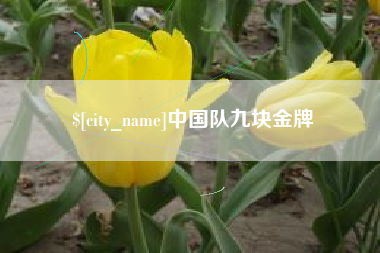 正定中国队九块金牌