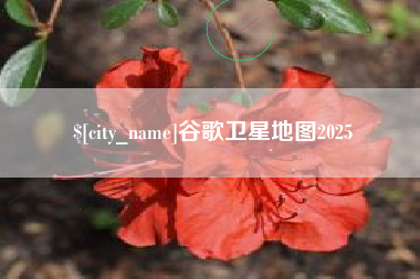 正定谷歌卫星地图2025
