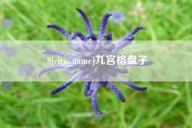 正定九宫格盘子