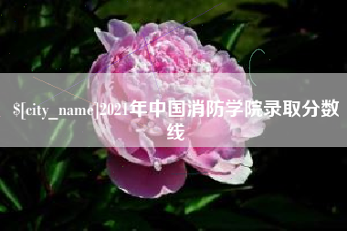 正定2021年中国消防学院录取分数线