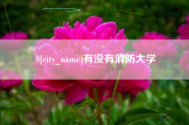 正定有没有消防大学