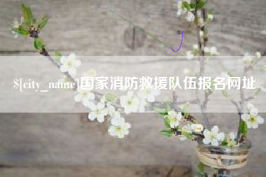 正定国家消防救援队伍报名网址
