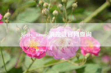 正定消控证官网查询