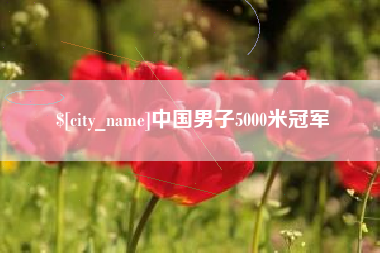 正定中国男子5000米冠军