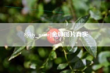 正定金牌图片真实