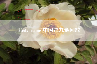 正定中国第九金回放