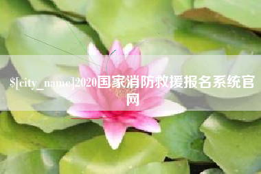 正定2020国家消防救援报名系统官网