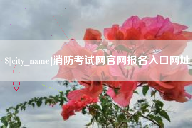 正定消防考试网官网报名入口网址