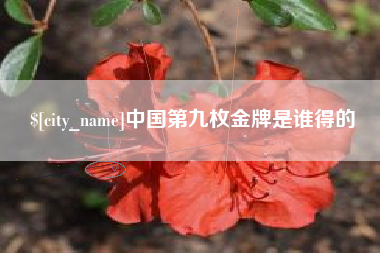 正定中国第九枚金牌是谁得的