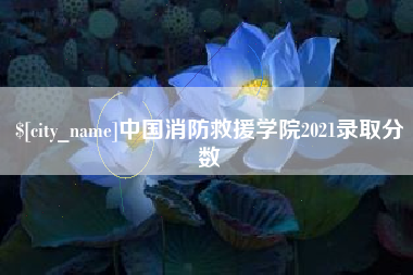 正定中国消防救援学院2021录取分数