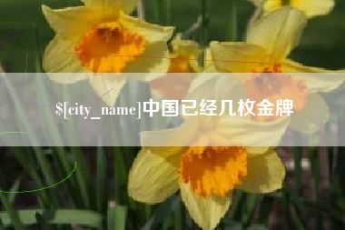 正定中国已经几枚金牌
