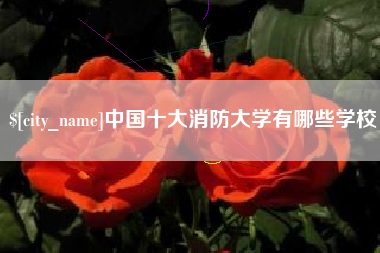 正定中国十大消防大学有哪些学校