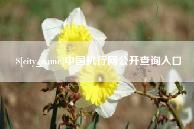 正定中国执行网公开查询入口