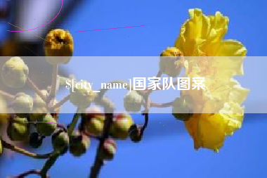 正定国家队图案