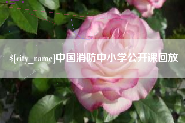 正定中国消防中小学公开课回放