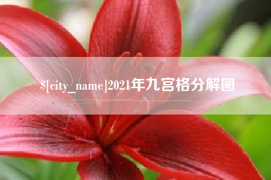 正定2021年九宫格分解图