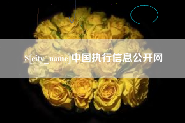 正定中国执行信息公开网