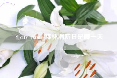 正定森林消防日是哪一天