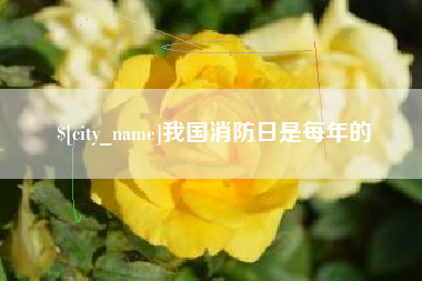 正定我国消防日是每年的