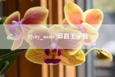 正定邱县王子磊