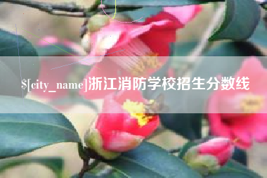 正定浙江消防学校招生分数线