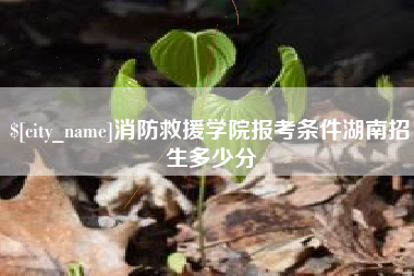 正定消防救援学院报考条件湖南招生多少分