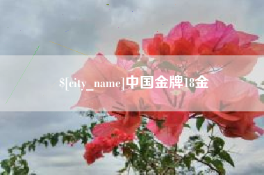 正定中国金牌18金