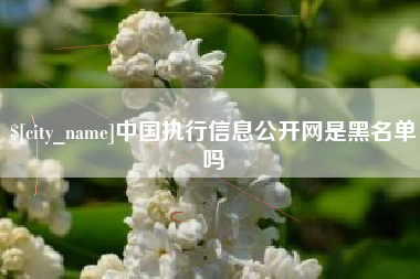正定中国执行信息公开网是黑名单吗